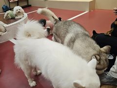 -和它·交个朋友·狗咖猫咖(爱琴海店)