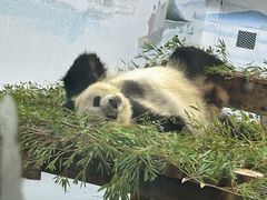 -无锡动物园·太湖欢乐园