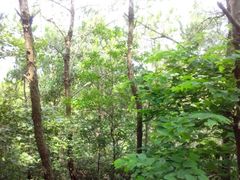 -福建泉州仙公山风景名胜区