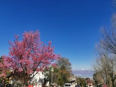 -天龙八部武侠城