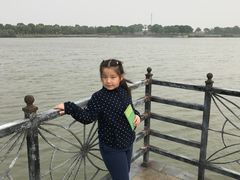 -上海都市菜园