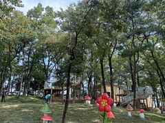 -沂蒙山旅游区云蒙景区(蒙山国家森林公园)