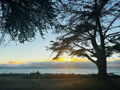 -香港东海海鲜酒家