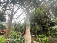 -南山植物园