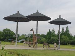 -宁波野生动物园