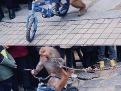 -董永七仙女文化园