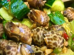 凉拌海螺-派派茶客(金杏花园店)