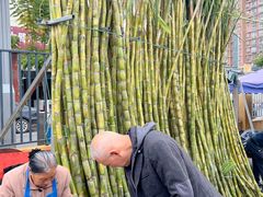 -南坛综合农贸市场