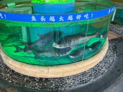 -年辉渔村·非遗传承餐厅(新丰江店)