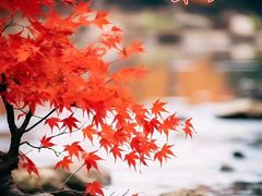 -莞府家宴·东莞菜(市民服务中心店)