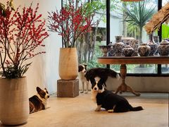 -自由生长植物工作室(深港花卉中心店)