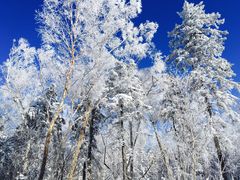 -亚布力新体委滑雪场