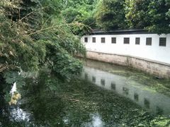 -上海青龙寺
