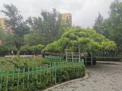 -双榆树公园