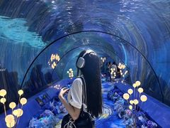 -重庆欢乐海底世界
