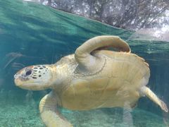 -广州海洋馆
