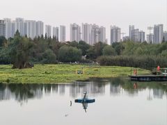 -洋湖国家湿地公园