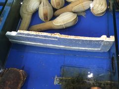 -山东八大碗山东老字号