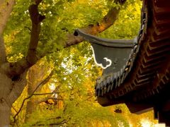 -郑和公园
