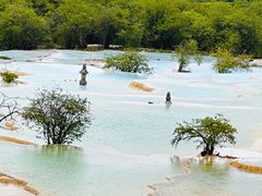 -黄龙山原始森林景区