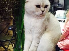 -MIKAKU(万达广场上海宝山店)