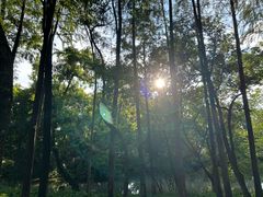 -南通濠河风景名胜区