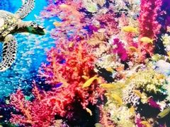 -秦皇岛新澳海底世界