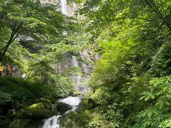 -瓦屋山景区