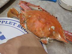 -小海丁