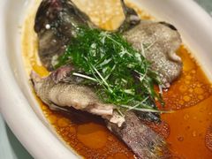 清蒸深海老虎斑-樱苑(四川北路店)