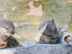 -杭州野生动物世界