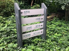 -晓港公园
