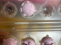 -四川大学(华西校区)