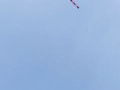 -哈尔滨大剧院