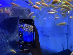 -南昌融创海世界