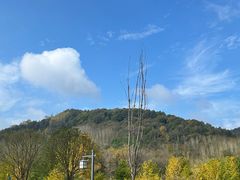 -千年银杏谷文化旅游区
