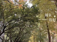 -山东师范大学(千佛山校区)