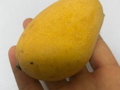 芒果-南方嘉木茶艺馆(凌公塘路店)