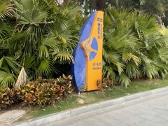 -演武大桥观景平台