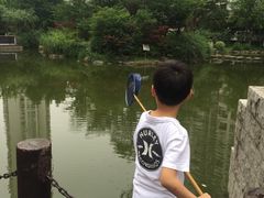 -新湖明珠城
