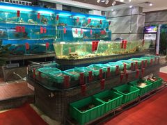 水产区-海大大蒸汽海鲜餐厅·粤菜·特色小炒(欢乐颂店)