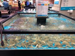 水产区-盒马鲜生(王府广场店)