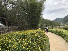 -广州市石门国家森林公园