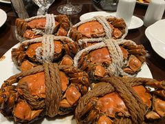 -Social 秀西餐厅-长沙瑞吉酒店(运达店)