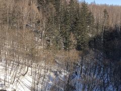 -峡谷浮石林景区