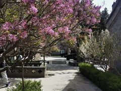 -内蒙古将军衙署博物院