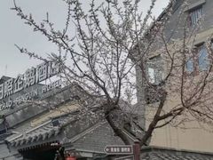 -渡海小渔村.老辈日照菜