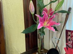 -瑶王府·广西菜(茶花园店)
