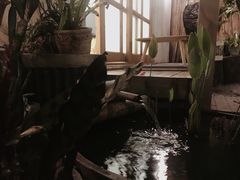 -拾壹cafe·工作室
