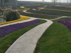 -南通洲际绿博园